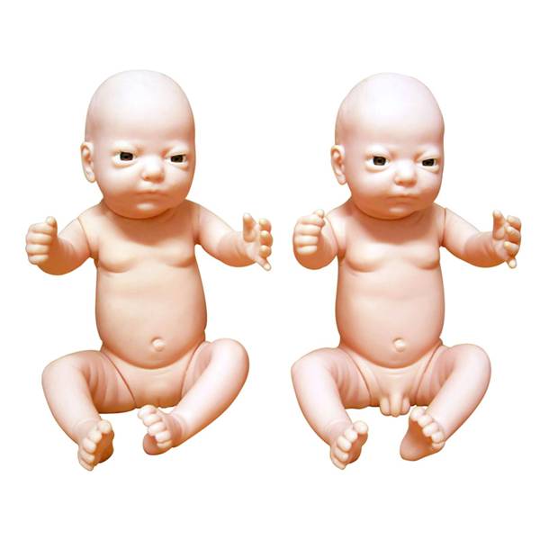 高级出生婴儿模型(男婴,女婴任选)