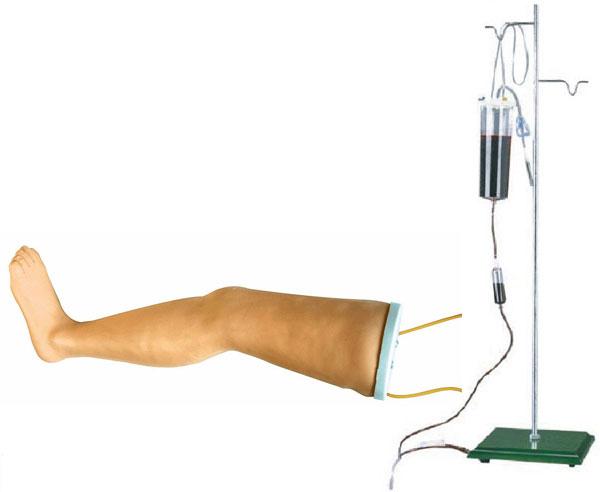 <b>高级静脉输液腿模型</b>