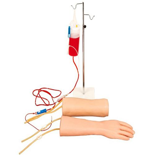 <b>手部、肘部组合式静脉输液（血）训练模型</b>
