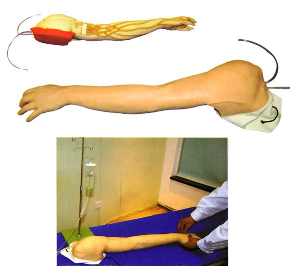 <b>全功能完整静脉穿刺及注射训练手臂模型</b>
