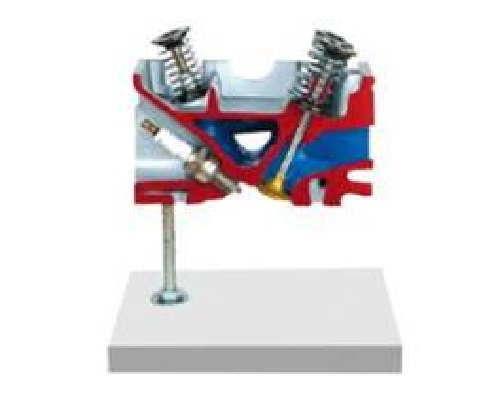 气缸盖解剖模型－4气门发动机